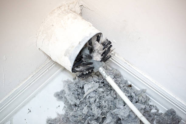Best Air Vent Cleaning Services  in Scandia, MN