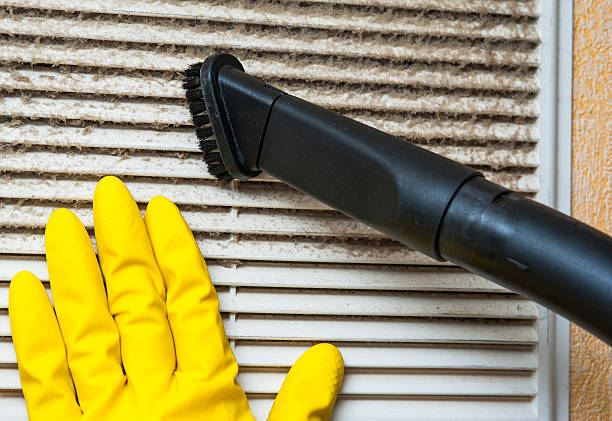 Best Affordable HVAC Duct Cleaning  in Scandia, MN